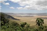   Ngorongoro