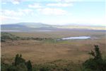 Ngorongoro